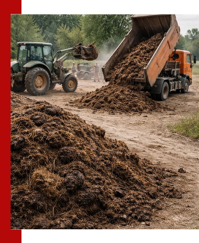Доставка навоза самосвалами в Лиски для сельхозпотребностей