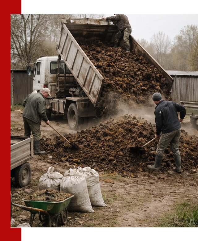 Доставка коровьего навоза самосвалом в Лиски